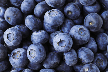 fresh ripe blueberries close-up as background