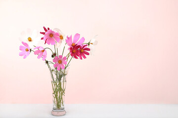 Daisy flowers in a vase, Abstract floral arrangement, spring or autumn background with place for text, minimal holiday concept, still life, postcard. 