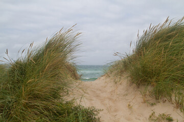 Small path over the dunes, overgrown with Marram grass, to the sea