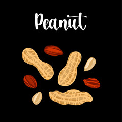 Peeled and in shell peanuts. Healthy nutrition product.
