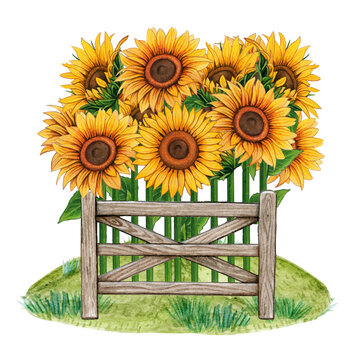 recommend clip art: sunflower garden with rustic fence