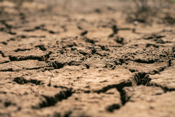 Fototapeta na wymiar dry cracked soil during the summer heat