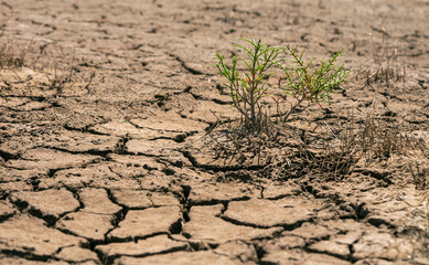 dry cracked soil during the summer heat