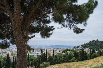 Cityscape of Athens at cloudy day. City near mountain. Urban architecture in Europe. View from slope of Acropolis hill. Tree on foreground.