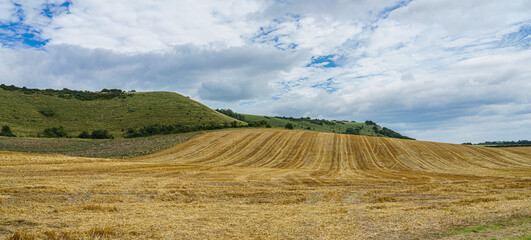 a field of golden wheat stems after harvesting on the South facing edge of the Marlborough Downs, adjacent to Pewsey Vale, Wiltshire AONB 