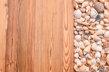 Caracoles Marinos Arena Playa Parador Tropical Mar Madera Cono Océano Vacaciones Turismo Viajes