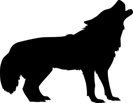 black wolf vector