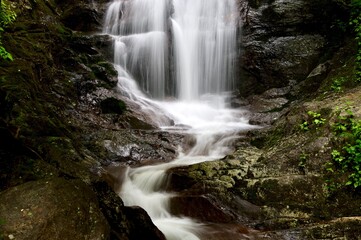 trees, waterfalls, and rocks