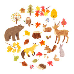 秋の森にいるかわいい動物達の背景素材 手描き水彩画イラスト 横長 03 Acorn Wall Mural Aco Fuwari