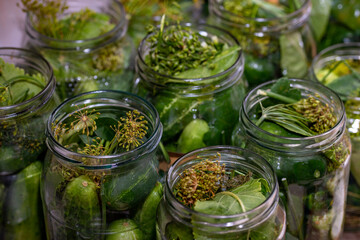 Cucumbers in glass jars prepared for pickling. Vegetables prepared in home cooking.