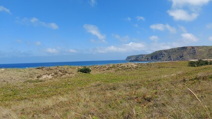 view from the beach