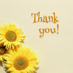 Thank you, text with sunflowers on square flat lay. Beige, yellow paper background. Simple, minimal design. Motivation message with natural flowers.