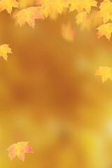 Autumn orange maple leaves on orange vertical background  with copy space