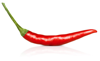 one red chili pepper on isolated white background