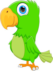 cartoon funny bird on white background 