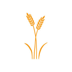 Wheat, barley, rice icon. Hand drawn sketch style oat with grain. Wheat isolated vector illustration. Golden color barley.