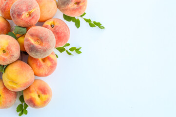 La saison de la récolte de pêches au Canada 