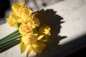 Yellow flowers