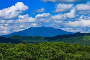 Fototapeta na wymiar 北海道の夏　裏摩周からの斜里岳遠景