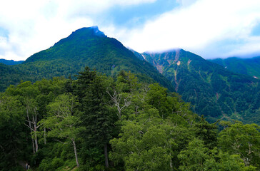 Fototapeta premium 北海道の夏 大雪山 黒岳