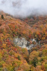 waterfall of heart shape in autumn