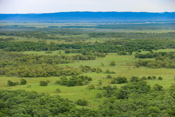 北海道の夏　釧路湿原の風景