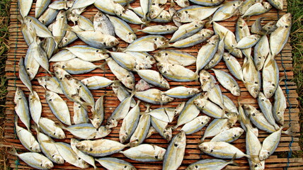 close-up dried fish on bamboo background. Top view. Traditional salted fish drying on racks