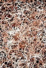 brown color of abstract background