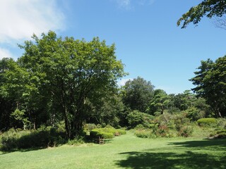 Akagi Nature Park in early autumn
