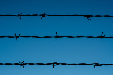 barbed wire fence