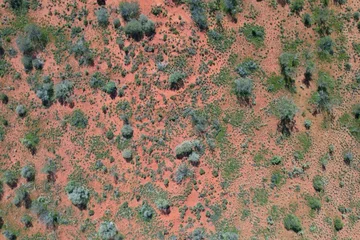 Foto op Canvas Outback Australia aerial drone wide shot over the picturesque wild rural dry red center desert landscape of Western Australia © immimagery