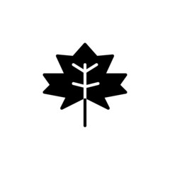 autumn leaf maple icon vector	