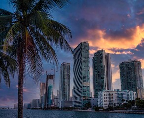 Obraz na płótnie Canvas city skyline at sunset miami florida usa buildings skyscrapers sky clouds palms travel 