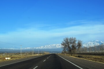 Fototapeta premium Mendoza, Argentina.