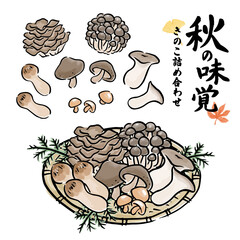 秋の味覚　旬のきのこの和風手描きベクターイラスト　筆文字セット
