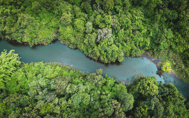 Aerial view river forest nature woodland area green tree, Top view river lagoon pond with blue water from above, Bird eye view green forest beautiful fresh environment landscape jungles lake