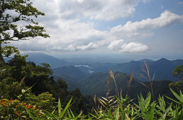 View from the mountain to the valley, lakes, and hills overgrown with forest, in the foreground meadow grass with panicles