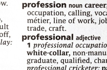 Close Up of Specific Word Professional in a Dictionary