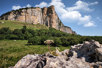 Ahmet is a rock. A steep cliff near the confluence of the Bolshaya and Malaya Laba with cliffs up...