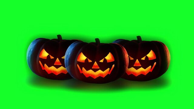 green screen three pumpkins for video overlay, halloween