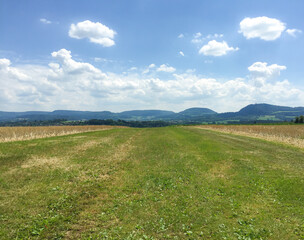 Open field on a summer day