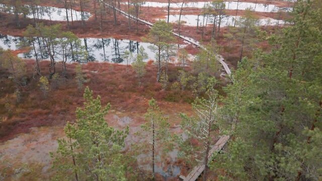 Estonia, Lahemaa National Park, Viru Raba Vaatetorn,