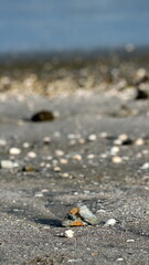 Rocks on the beach in Las Penas, Ecuador
