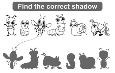 Find the correct shadow. Kids educational game. Coloring pages Insects, Simple gaming level for preschool kids