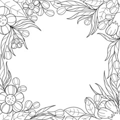 Hand drawn black and white floral background. Contour frame made of flowers, leaves and twigs. Perfect background for advertising, congratulations, invitations or other designs.