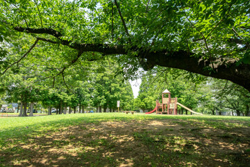 東京都江戸川区の篠崎公園と江戸川緑地一帯