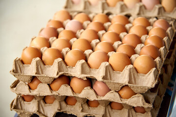 eggs in a cardboard box, lots of eggs