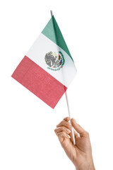 Female hand with the flag of Mexico on white background