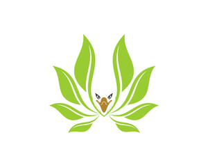 The eagle with nature's leaves spreads its wings