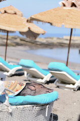 マイクロブタのお昼寝